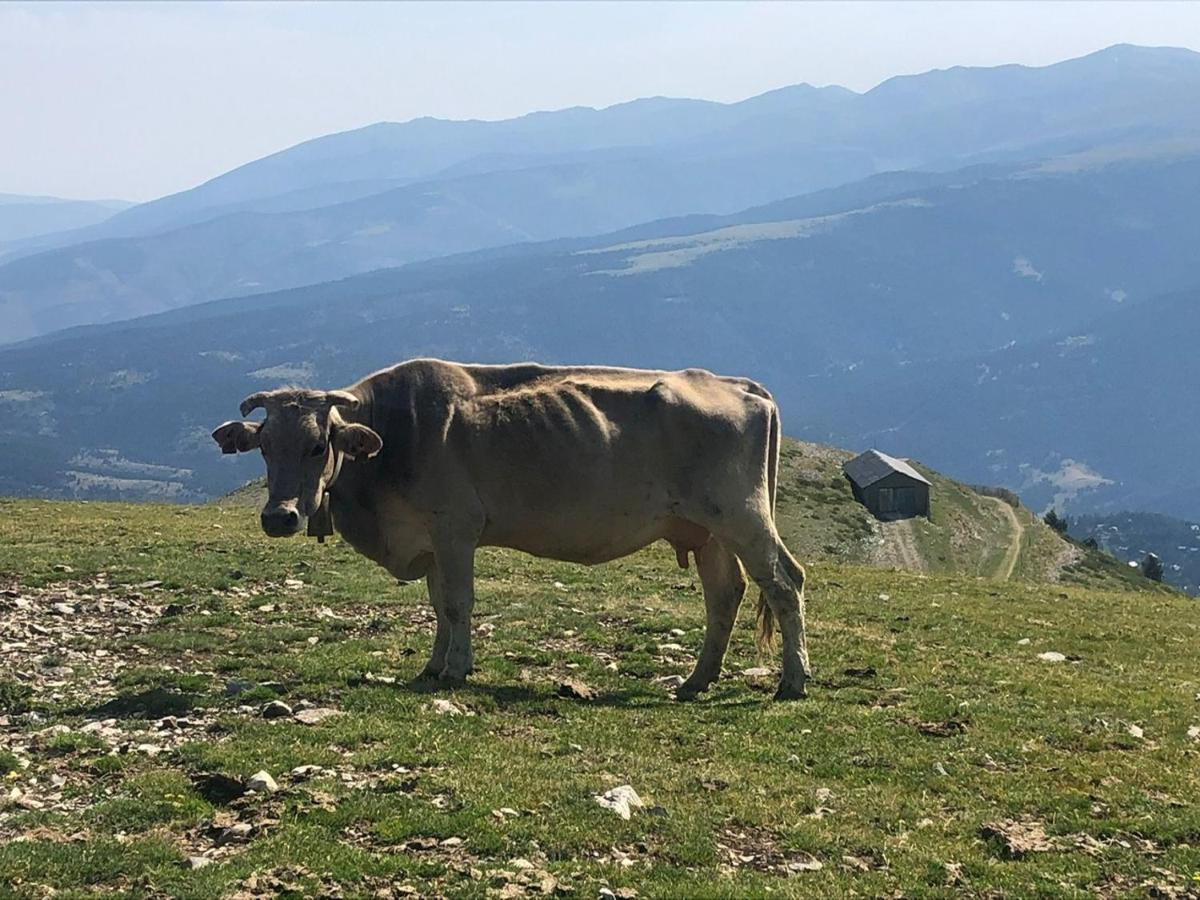 Panoramic Xalet La Molina Con Vistas Excelentes Villa Exteriör bild